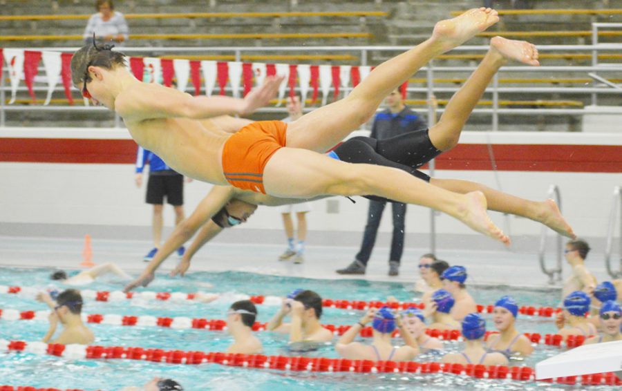 Freshman Drew Shellenburger practices diving into the water during warm-up time before the Cardinal Classic. 