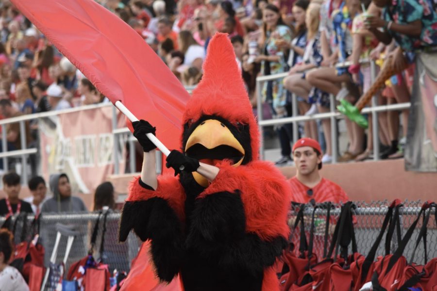 The current Cardinal waves the SHS flag at a football game. The Cardinal represents our school spirit.