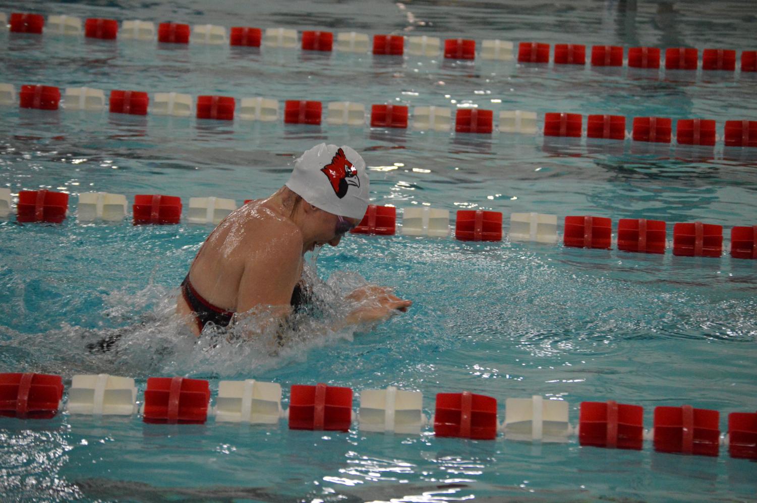 Boys and girls Cardinal Classic swim meet (gallery) The Journal Rewired