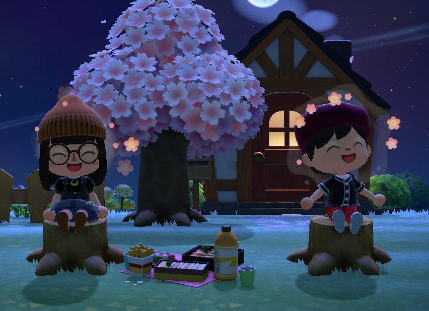 ‘Animal Crossing: New Horizons’ Review – The Journal Rewired