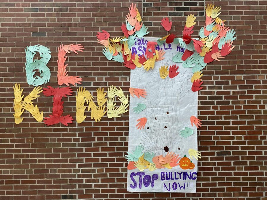 Bring Change To Mind club lets students put their names on the wall to help combat bullying. This is just one of the ways SHS promoted anti-bullying last month.