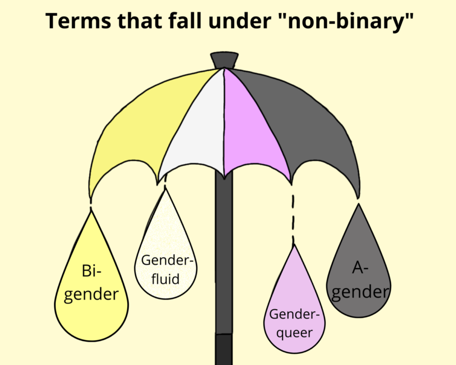 Labels for the different gender identities under the umbrella term, non-binary.