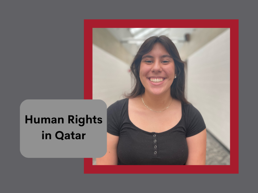 Human Rights in Qatar