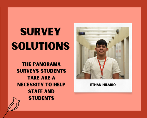 Survey solutions