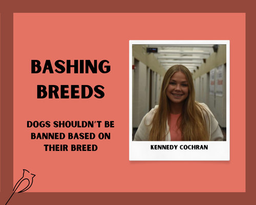 Bashing breeds