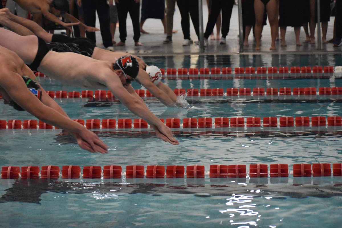 Junior Levi Decker dives into the pool during the Cardinal Classic. The team finished second overall in the meet. photo by Caydence Davis